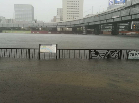 隅田川の水位が上昇していることがわかる画像